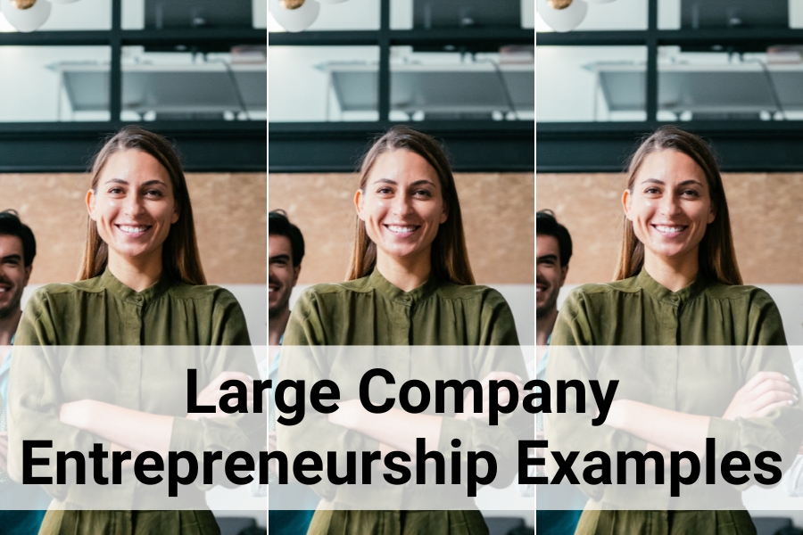 large company entrepreneurship examples